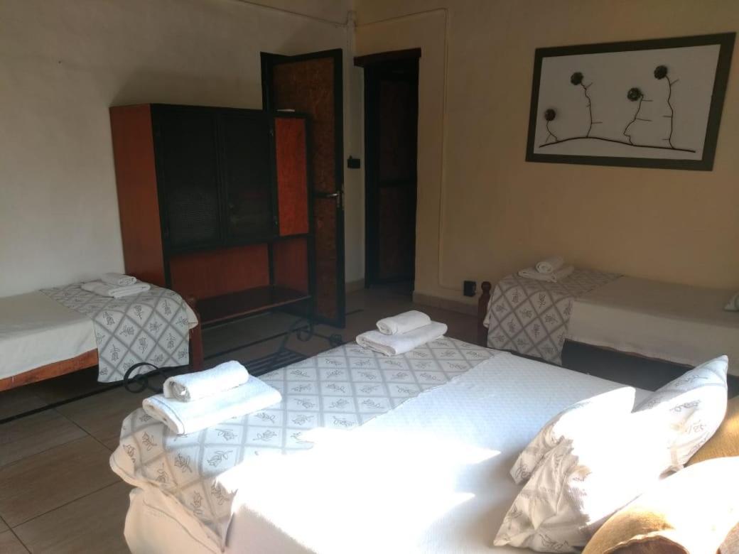 Nuevas Cabanas Del Sol San Lorenzo  Exteriör bild